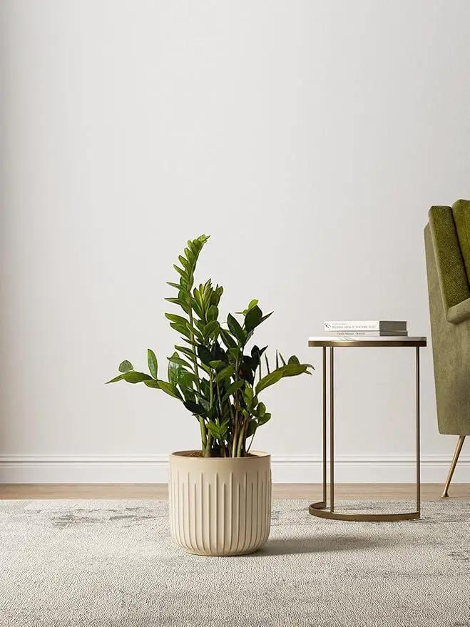 LE TAUCI Ceramic Planters, 8.3+6.9+5.7 Inch Plant Pots for Indoor Plants, Set of 3 Flower Pots with Drainage Holes, Round Planters Pot for Indoor House Plants, Reactive Glaze Cloud Cream, photo 5 of 7
