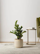 LE TAUCI Ceramic Planters, 8.3+6.9+5.7 Inch Plant Pots for Indoor Plants, Set of 3 Flower Pots with Drainage Holes, Round Planters Pot for Indoor House Plants, Reactive Glaze Cloud Cream by GreenHaven Gardens