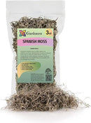 Premium Natural Spanish Moss | Natural Preserved - Great Ground Cover - Filler for Potted Plants - by GARDENERA - 3 Quart Bag by GreenHaven Gardens