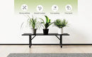 Zhongma One Tier Metal Plant Stand with Wheels,(35.43 L x 8.66 W x 10.3 H) Heavy Duty Plant Holder for Home, Window,Garden, Plant Lovers, Display Stand by GreenHaven Gardens