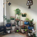HMVPL Grow Lights for Indoor Plants Full Spectrum, Plant Lights for Indoor Growing with 20W COB Grow Light Blub, 4/8/12H Timer, Standing Tall Grow Lamp for Middle Large Plants(75'', Height Adjustable) by GreenHaven Gardens