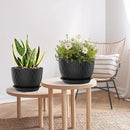 Plant Pots 12/10/9 Inch Pots, Set of 3 Plastic Planters with Drainage Holes and Saucers,Plastic Flower Pots,Nursery Planting Pot for Indoor Out Door Plants（Black） by GreenHaven Gardens