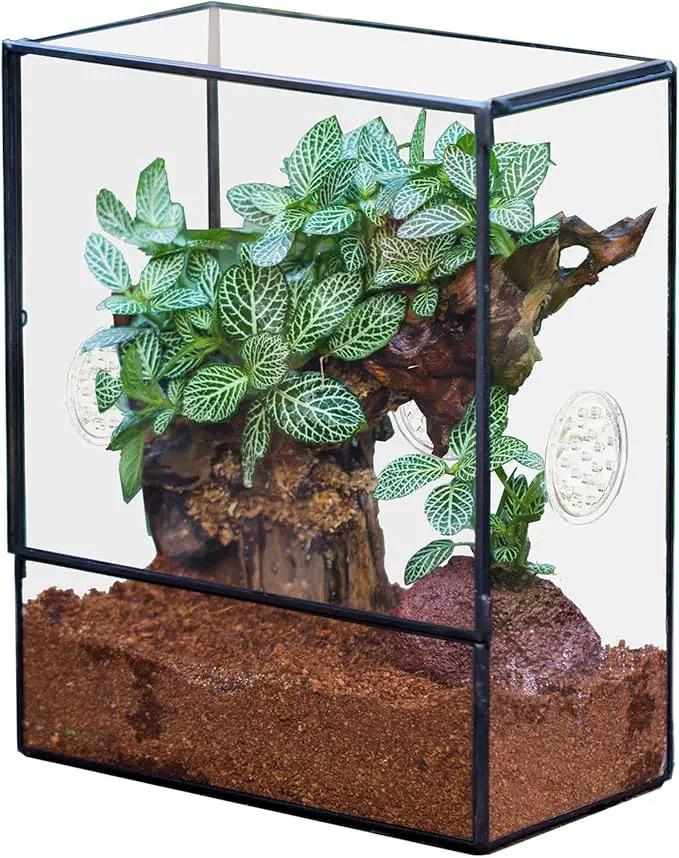 NCYP Glass Terrarium with Front Opening Door and 3 Vents for Insects, Snail, Spider, Glass Enclosure - 8"x4.5"x10" Clear Closed Plant Greenhouse Box (Terrarium Only), photo 7 of 7