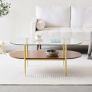 Oval Glass Coffee Table, Mid-Century Modern Design, L41 x W21 x H17 inch, for Living Room, 2-Tier Structure, Clear Glass Top and Walnut Finish Wood Shelf, Conical Legs with Gold Finish Frame by CozyNest Decor