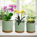 3 Pack 6/5/4 inch Cylindrical Flower Pots, Modern Small Round Plastic Plant Pots with Drainage Holes & Saucers, Clean and Refined Planter Pots for Outdoor, Indoor & Office Decor (Green Brown) by GreenHaven Gardens