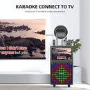 Karaoke Machine with Lyrics Display Screen for Adults, Built-in 15 Inches Tablet, Bluetooth Speaker with 2 Wireless Mics, 1000W Peak Power, DJ Lights, Portable Karaoke System for Any Occasion by TinyTreasures Baby Boutique