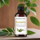 Majestic Pure Eucalyptus Essential Oil with Glass Dropper - 1 Fl Oz - 100% Pure and Natural Eucalyptus Oil - Premium Grade Essential Oils for Diffuser, Aromatherapy, Soap and Candle Making by CozyNest Decor