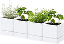 4 Inch Herb Planter Pot, Plastic Planter with Drainage Holes and Saucer, Modern Decorative Gardening Pot for Indoor Plants, Flowers, Herbs, Succulents, White, Set of 4, 76-Y-A-4 by GreenHaven Gardens