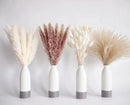 Natural Dried Pampas Grass Decor, 100 PCS Pampas Grass Contains White Bunny Tails Dried Flowers, Reed Grass Bouquet for Wedding Boho Flowers Home Table Decor, Rustic Farmhouse Party by CozyNest Decor