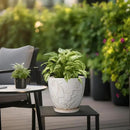 8 Inch Ceramic Pots for Plants Large Planter Pot with Drainage Hole and Saucer Round Flower Pot for Indoor Outdoor Decor, White by CozyNest Decor