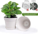 homenote Pots for Plants, 15 Pack 6 Inch Plastic Planters with Multiple Drainage Holes and Trays,Plant Pots for All Home Garden Flowers Succulents (White) by CozyNest Decor