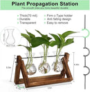 YIBOT Propagation Stations,Plant Terrarium with Retro Wooden Stand, Unique Gardening Birthday Gifts for Women Plant Lovers, Hydroponics Plants Home Office Garden Decor - 3 Bulb Glass Vases by CozyNest Decor