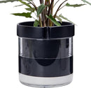 Phoenix Vine 8 Inch Self Watering Terracotta Planter, Black Terracotta Clay Pot with Glass Reservoir for Indoor Plants, Herbs, Flowers, Set of 1, 52-C-H-1 by GreenHaven Gardens