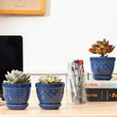 Sureasy Succulent Pots, 3.5 Inch Flower Pots for Indoor Plants, Small Plant Pots with Saucer & Drainage, Decorative Ceramic Planters for Succulent, Cactus, Set of 4, Blue by GreenHaven Gardens