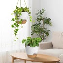 ZMTECH 10 Inch Hanging Planters for Indoor Outdoor Plants, 2 Pack Self Watering Hanging Plant Pots with Drainage Holes and Removable Saucer, Plastic Flower Hanging Pots with Watering Lip (White) by CozyNest Decor