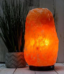 Himalayan Secrets LARGE Salt Lamp - Natural Pink Crystal with Wooden Base - Dimmer Cord and Bulb included (25-30 LBS) by CozyNest Decor