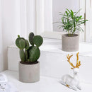 Ekirlin Planters for Indoor Plants, 3.5/4 Inch Plant Pots with Drainage Holes, Removable Rubber Stopper, Non-Slip Soft Pad - Grey Cement Concrete Planter for Most Indoor Outdoor Plants and Flowers by GreenHaven Gardens