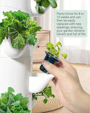 Vertical Hydroponics Growing System Kit, Indoor Outdoor Gardening System Kits, Herb & Fruits Growing Tower, 6 Layer 30 Pods by CozyNest Decor