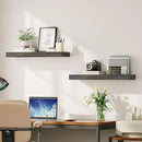 HOOBRO Floating Shelves for Wall, Wall Mounted Shelf Set of 2, 23.6" Hanging Shelf with Invisible Brackets, for Wall in Bathroom, Bedroom, Toilet, Kitchen, Living Room, Office, Charcoal Gray BC60BJ01 by CozyNest Decor