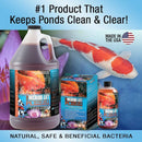 MICROBE-LIFT Algae Control Bundle for Ponds and Water Gardens, Includes ALGA32 Algaway 5.4 (32 oz) + PL Pond Bacteria and Outdoor Water Garden Cleaner (32 oz) by GreenHaven Gardens
