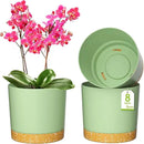 ZMTECH Plant Pots, Set of 3 8'' Self Watering Plastic Planter with Drainage Hole and Saucer, Modern Decorative Flower Pot for Indoor Outdoor House Plants, Succulents, Flowers - Green by GreenHaven Gardens
