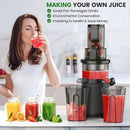 Slow Masticating Cold Press Juicer: Cold Pressed Juicer Machines For Vegetable And Fruit 200W, Matte Grey by CozyNest Decor
