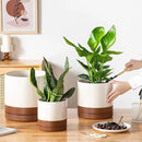 vancasso Ceramic Pots for Plants, Plant Pots for Indoor Plants, 6.25+8.25+10.25 Inch Ceramic Planters, Flower Pots with Drainage Holes, Planters Pot for Indoor House Plant, Set of 3, Khaki by CozyNest Decor