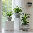 LA JOLIE MUSE Large Hanging Planters for Indoor Outdoor Plants, Hanging Flower Pots Marble Pattern (13.2 Inch,Set of 2) by CozyNest Decor
