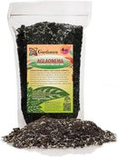 Aglaonema Potting Mix - Promote Strong Roots and Vibrant Foliage with Our Premium Blend - 4 Quart, MAIN-AGLAONEMA-4QT by GreenHaven Gardens