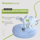Cattasaurus Peekaboo Cat Cave, Extra Spacious for Multiple & Large Cats 12+ lbs, Scratch Detachable Beds for Indoor Cats, Washable Tunnel Bed, Comfy Cat Donut Tunnel (Light Gray+Light Gray, Jumbo) by CozyNest Decor