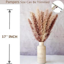 100 PCS Dried Flowers Pampas Grass Bouquet, Boho Table Decor, Bunny Tails Dried Flowers, Brown Pompas, White Pampas Grass for Wedding, Home, Rustic Party, Baby Shower Decorations by CozyNest Decor