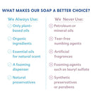 Motherlove Baby & All Soap (32 oz) Gentle Foaming All-Purpose Castile Soap Made with Organic Ingredients – Simply Unscented by TinyTreasures Baby Boutique