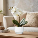 G EPGardening Ceramic Plants Pots - 4 inch Succulent Pots for Indoor Outdoor, Small Planter with Drainage Hole & Saucer, Round Planter, Modern Flower Pot, Office Decor, Plant Lovers Gifts, White by GreenHaven Gardens