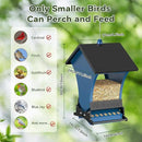 Wildpark Squirrel Proof Bird Feeders for Outdoors, 5LB Metal Hanging Feeders, Large Wild Feeders for Cardinals, Chickadees, Durable Backyard Feeders -One in Blue by GreenHaven Gardens