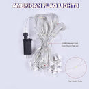 Texas Flag Net Lights Outdoor 3.3x6.6 FT - 384 LED Patriotic American Flag Decor with 8 Modes, Waterproof for 4th of July, Christmas, Yard, Porch, Parties by GreenHaven Gardens