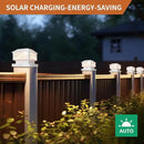 Solar Post Lights Outdoor, 20LM Solar Fence Cap Lights, Waterproof, 2 Light Modes, fit 3.5x3.5in 4x4in 5x5in Wooden Post, Solar Power Deck Light for Garden Deck Patio Decoration(White 12Pack) by GreenHaven Gardens