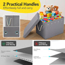Kids Toy Box Chest Storage with Lid and Big Play Mat for Boys and Girls,Collapsible Fabric Toy Building Bricks Storage Container Organizer Bin with Rug for Playroom and Nursery Organization by TinyTreasures Baby Boutique