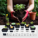 5 Pack Planting Pots Moving Trays for 3 inch(2.7 inch for Exact) Square Nursery Pots, 24 Cell Pots Carrier Holders(White) by GreenHaven Gardens