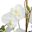 White Orchid Artificial Flowers with Gray Vase Large Silk Faux Phalaenopsis Flowers for Dining Room Table Floral Centerpieces Indoor Decoration by CozyNest Decor