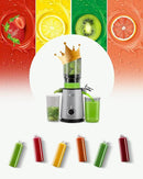 Cold Press Juicer, ECOSELF Juicer Machines with 4.35" Large Feed Chute Fit Whole Fruits & Vegetables, Self Feeding for Juice Extractor Machine, Easy to Clean and Assemble, High Juice Yield by CozyNest Decor
