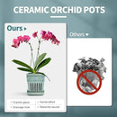 Orchid Pots with Holes | 5" Ceramic Orchid Planter with Separate Saucer and Drainage Holes | Crackle Glazed Pottery Small Flower Pot for Repotting Orchids（Blue） by GreenHaven Gardens