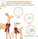 2 Pcs Reindeer Christmas Decoration, Xmas Lighted Golden Shimmering Doe and Fawn Display Set with 105 Warm White Lights for Yard Lawn Indoor Outdoor by CozyNest Decor