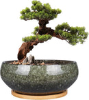 8 Inch Ceramic Bonsai Planter Pot, Glazed Shallow Succulent Planter with Drainage Hole and Bamboo Saucer for Indoor Plants, Green by GreenHaven Gardens