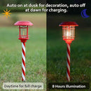 Dynaming 6 Pack Dual Use Solar Christmas Path Lights Outdoor, Hanging Lantern Solar Garden Light with Edison Bulb, Xmas Pathway Markers, Auto On/Off Candy Cane Lights for Patio Yard Walkway Driveway by GreenHaven Gardens