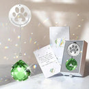 Dog Memorial Gifts, Unique Loss of Pet Sympathy Idea, Green Crystal Ball Rainbow Suncatcher with Paw Print for Cat or Dog Remembrance and Bereavement by GreenHaven Gardens