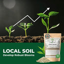 BuildASoil Fertilizer for Vegetable Garden and Ogranic Plant Food | Hand-Crafted Organic Fertilizer with 15 Premium Ingredients | Ensures Larger Plants and More Fragrant Flowers (10 LB - Medium Bag) by GreenHaven Gardens