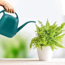Fasmov Plastic Watering Can, 1-Gallon, Green by GreenHaven Gardens