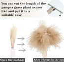 240 PCS Dried Flower Bouquet – Pampas Grass, Floral Decor for Home, Wedding, and Boho Style | Perfect for Vases, Fall, Spring, Summer, and Winter Arrangements by CozyNest Decor