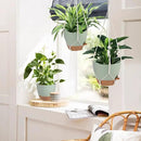 41.5 Inch Macrame Plant Hanger Indoor Outdoor with 12 Inch Flower Pot, Hanging Planter for Plants Holder with Wood Beads for Boho Home Decor (Ivory+Green) by GreenHaven Gardens