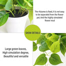Tiita 2 Pack Fake Plants Artificial Scindapsus Aureus in Pots, Realistic Fake Greenery Potted Plants for Home Office Desk Window Sill Bathroom Bedroom Outdoor Indoor by CozyNest Decor